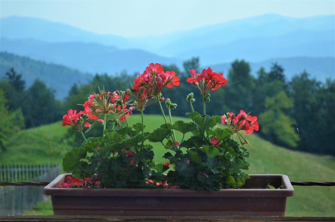 Apartamento Healing Farm Gorenja Vas  Exterior foto