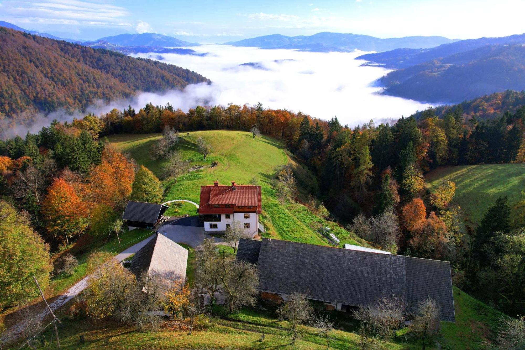 Apartamento Healing Farm Gorenja Vas  Exterior foto